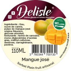 Sorbet - Mangue José - 110ml