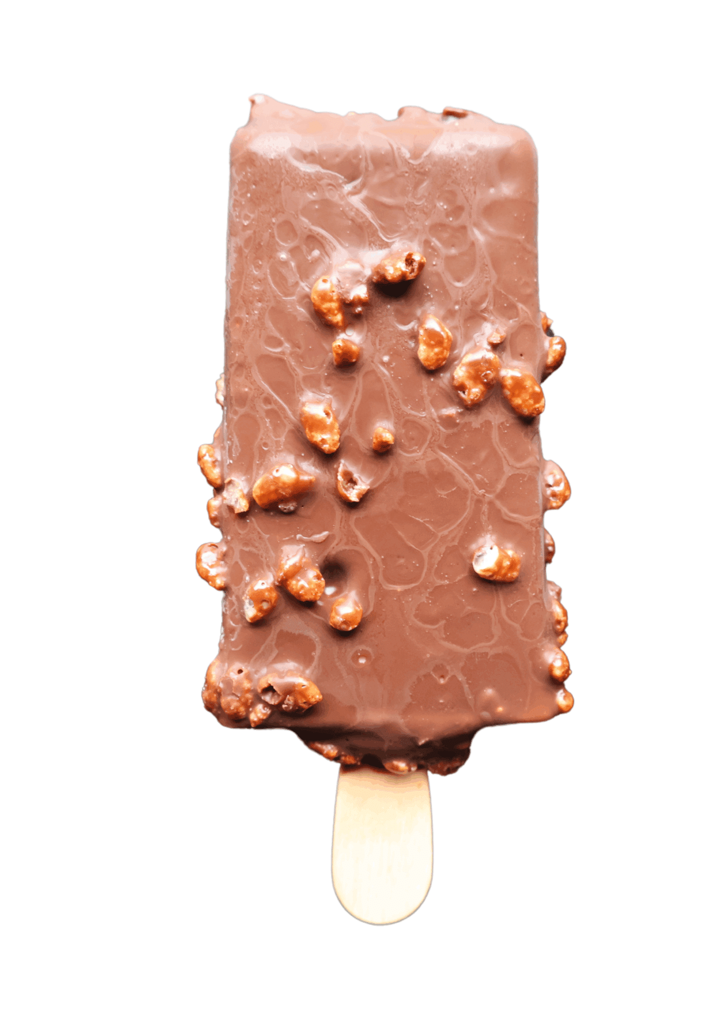 Paletas - Vanille enrobage Chocolat