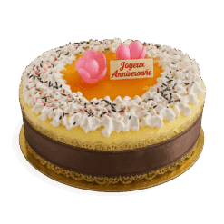 Gateau glacé de Fête 20/24 parts